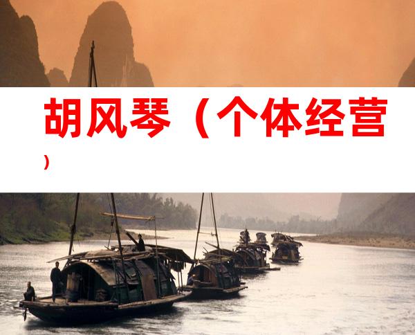 胡风琴（个体经营）